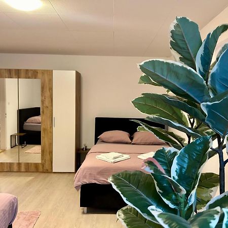 Апартаменти Tas24Ch Travel And Sleep 24 Санкт-Галлен Екстер'єр фото